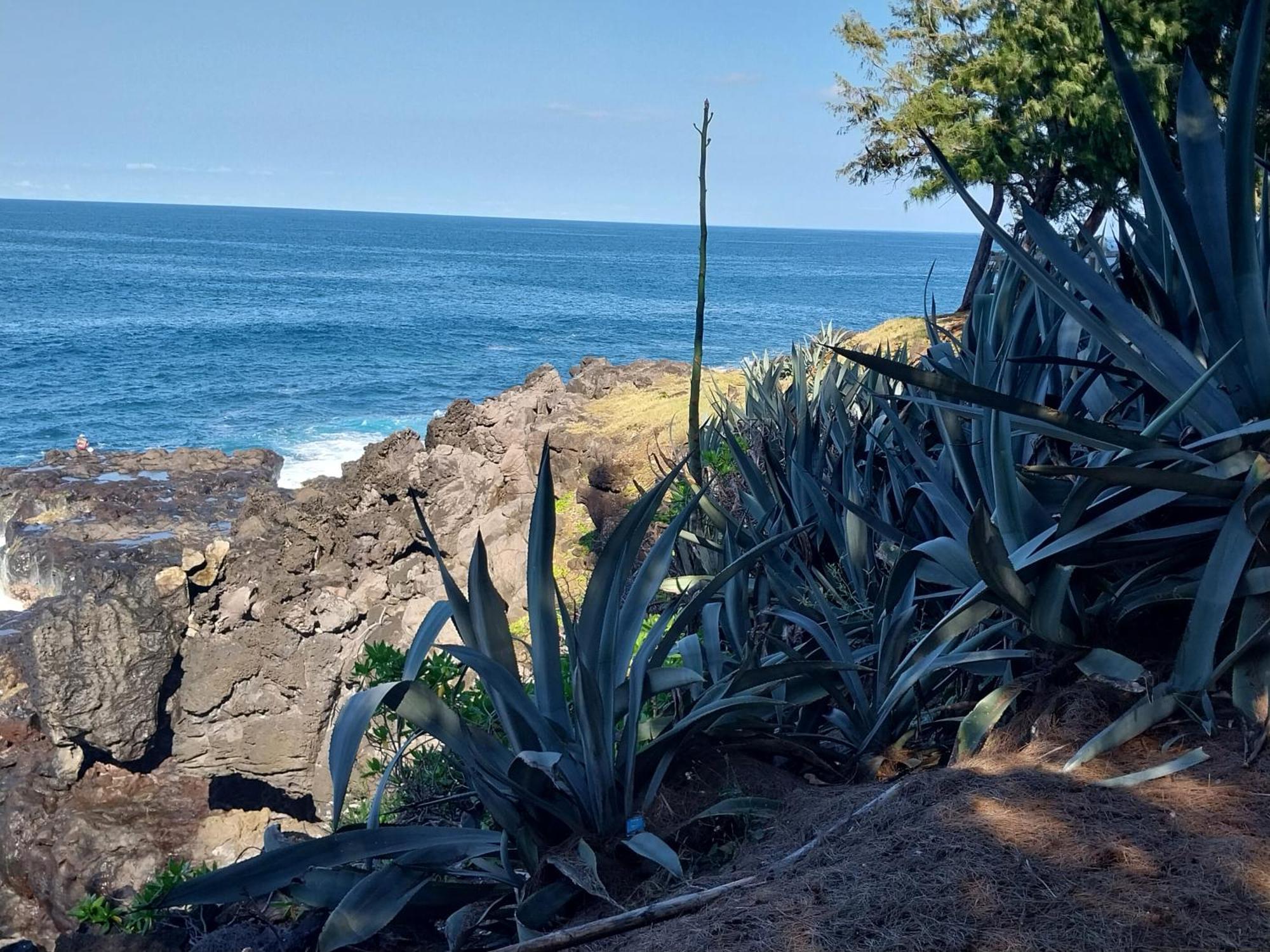 Villa Les Badamiers Saint Pierre Esterno foto