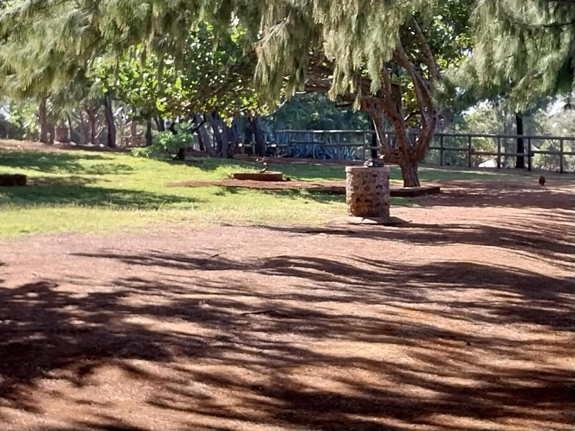 Villa Les Badamiers Saint Pierre Esterno foto